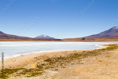 Laguna Hedionda view, Bolivia