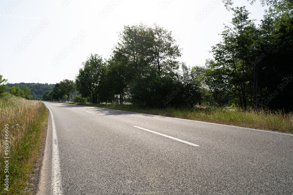 Road between grass and trees in the landscape in summer Road between grass and trees in the landscape in summer