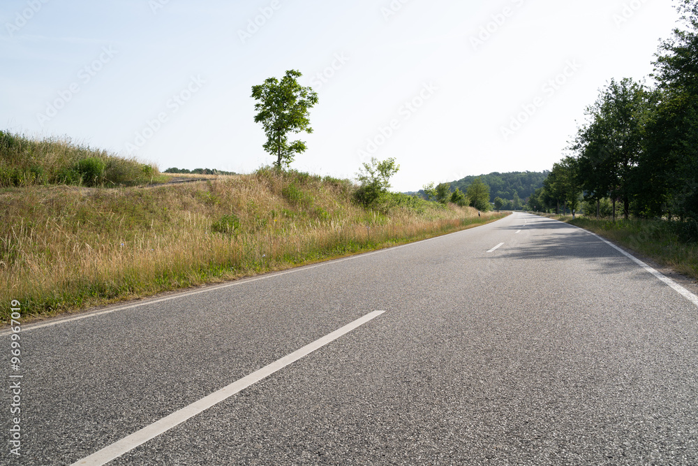 Fototapeta premium Road between grass and trees in the landscape in summer