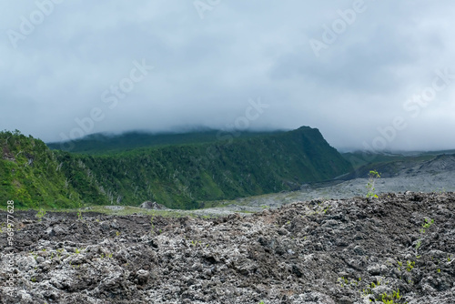 Coastal lava fields on the island of La Reunion, France