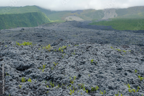 Coastal lava fields on the island of La Reunion, France