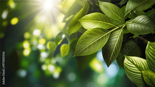 Spring Background, Nature of green leaves, ideal for wallpaper