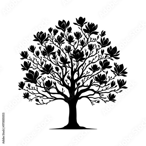 Magnolia Tree, vactor black color silhouette solid white background 34