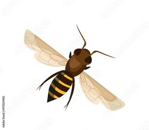 Honey element bee. Striped yellow and black insect. Farming and agriculture. Biology and entomology. Graphic element for website. Flat vector illustration isolated on white background