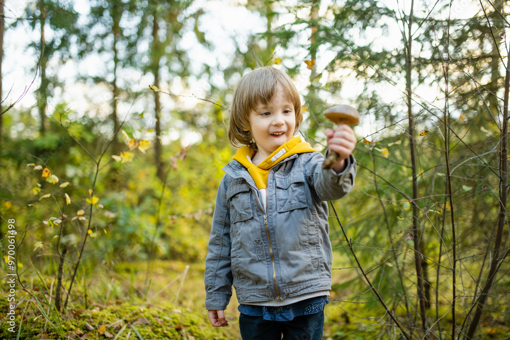 Cute little boy holding boletus edulis mushroom in a woods Cute little boy holding boletus edulis mushroom in a woods