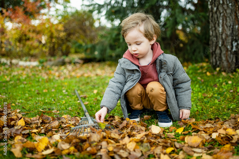 Cute little boy playing with a garden rake on late autumn day. Three years old child helping with chores. Cute little boy playing with a garden rake on late autumn day. Three years old child helping with chores.