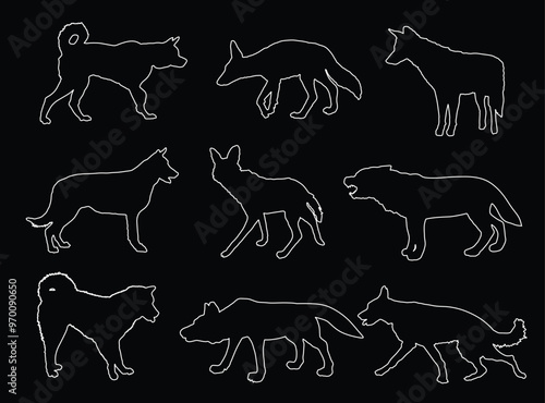 Wolf, coyote, jackal and dog collection vector silhouette illustration isolated. Maned wolf. Husky, Akita Inu. Wolf shape shadow. Dog breeds. Coyote jackal beast symbol. Wild pet animal line contour.