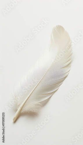 Single White Feather, Gentle Curve on White, Soft Focus, Muted Colors, Ethereal Background