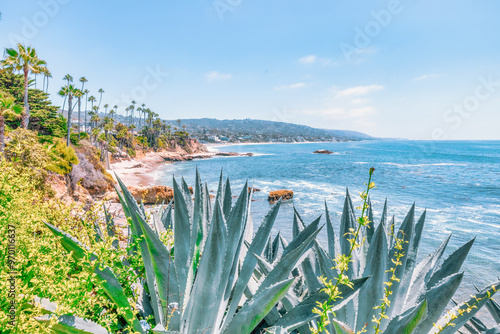 Tableau sur toile Beautiful landscape of Laguna Beach ocean coastline with palm trees in Treasure