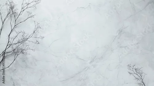 Obraz Minimalistic light gray marble texture with delicate branches, perfect for banners, elegant backgrounds, marketing materials, and copyspace for text, suitable for website and branding designs.
