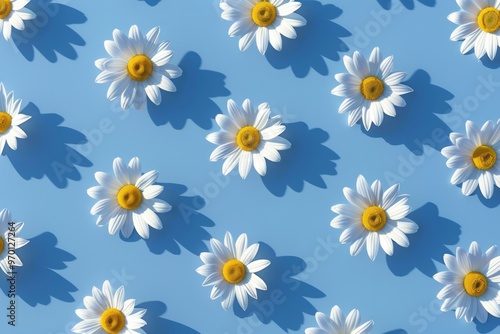 Pattern of White Daisy Flowers with Yellow Center on Light Blue Background, Floral Arrangement