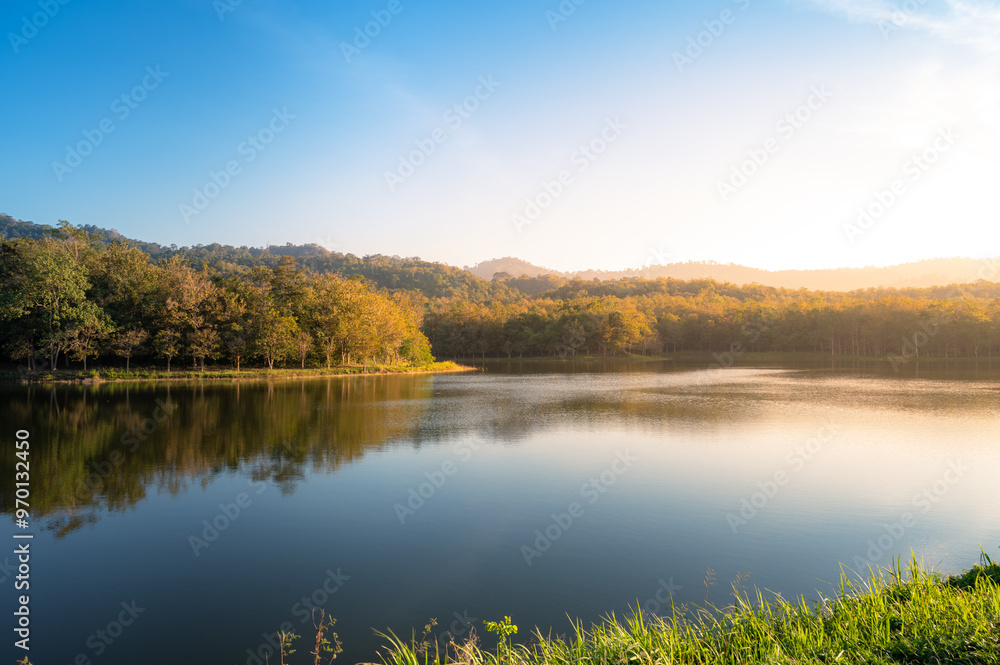 Beautiful forest lake at sunrise Beautiful forest lake at sunrise