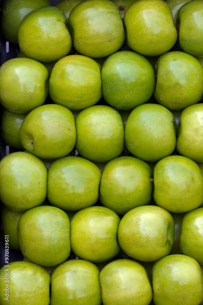 Delicious fruits and vegetables for a healthy diet. Oranges, Tangerines, Pears, Peppers, Red Apples, Green Apples, Cherry Tomatoes, Squashes. Delicious fruits and vegetables for a healthy diet. Oranges, Tangerines, Pears, Peppers, Red Apples, Green Apples, Cherry Tomatoes, Squashes.