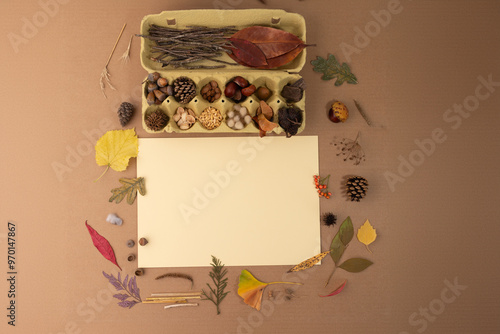 kit for crafts made from natural materials, acorns, chestnuts, cones and other forest materials, autumn flat lay photo