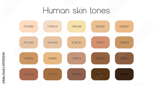 Skin tones palette by color codes. Different types human skin. Flat icon set. Vector EPS  10