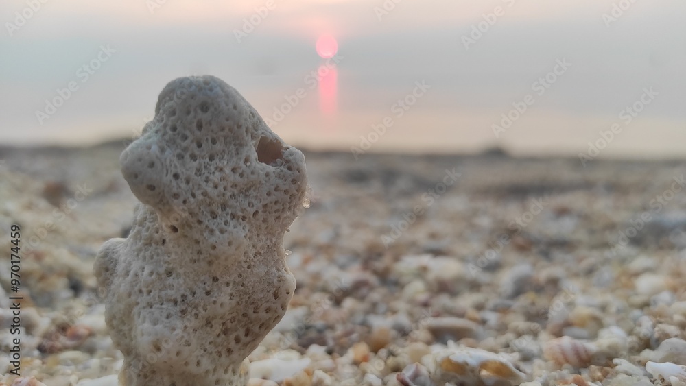 Close-up of a coral piece on the sandy shores of Koh Phangan, Thailand, with the soft glow of the sunset casting a tranquil ambiance over the sea in the background Close-up of a coral piece on the sandy shores of Koh Phangan, Thailand, with the soft glow of the sunset casting a tranquil ambiance over the sea in the background