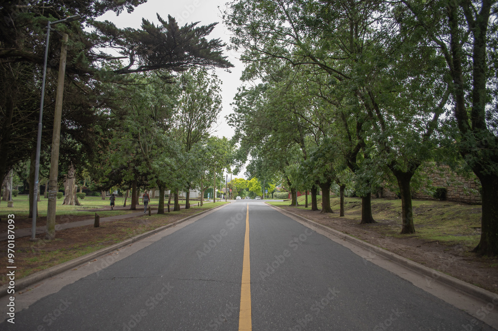 Fototapeta premium camino 