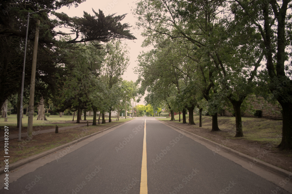 Fototapeta premium calle y parque