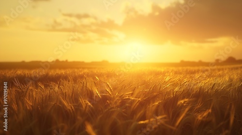 golden sunset light over field : Generative AI photo