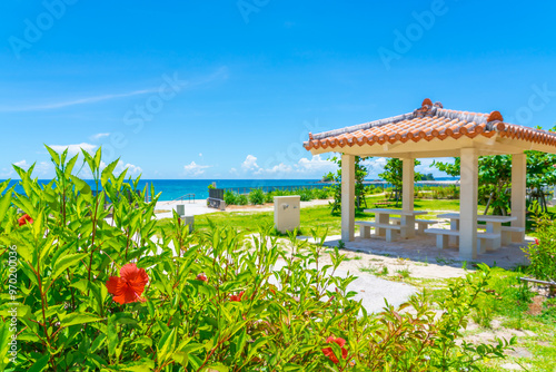 ハイビスカスとあずまや