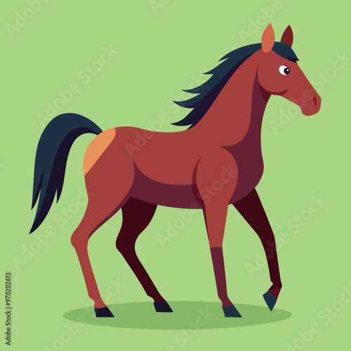 horse and foal