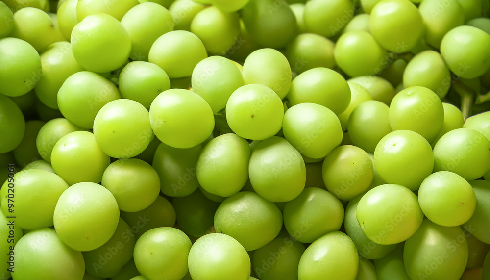 シャインマスカット