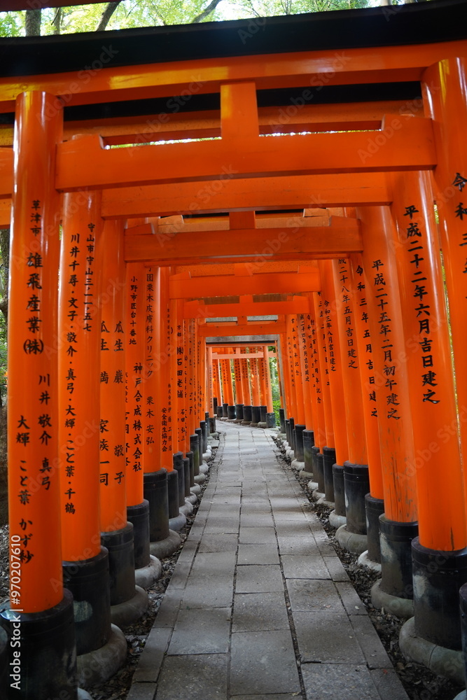 Obraz premium Fushimi Inari Taisha Shrine in Kyoto, Japan