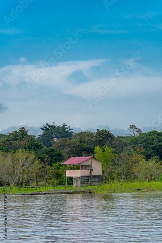 Landscape portraits on the amazon river and blue sky. Amazonas. 