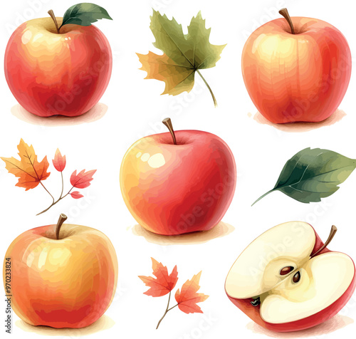 apples set. apple watercolor illustration. fruits