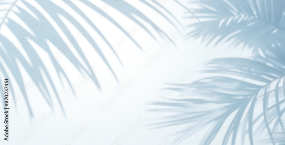 Abstract silhouette shadow white background of natural leaves tree branch falling on wall. blurry shadow of tropical leaves morning sun light. Abstract silhouette shadow white background of natural leaves tree branch falling on wall. blurry shadow of tropical leaves morning sun light.