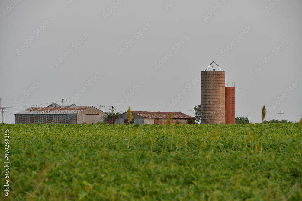 Barns and Silos by a Soybean Field Barns and Silos by a Soybean Field