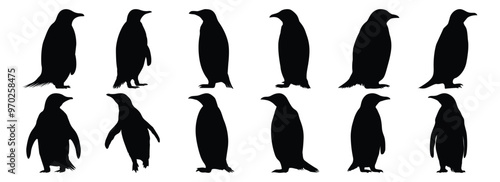 Penguin silhouettes set, bird pack of vector silhouette design, isolated background