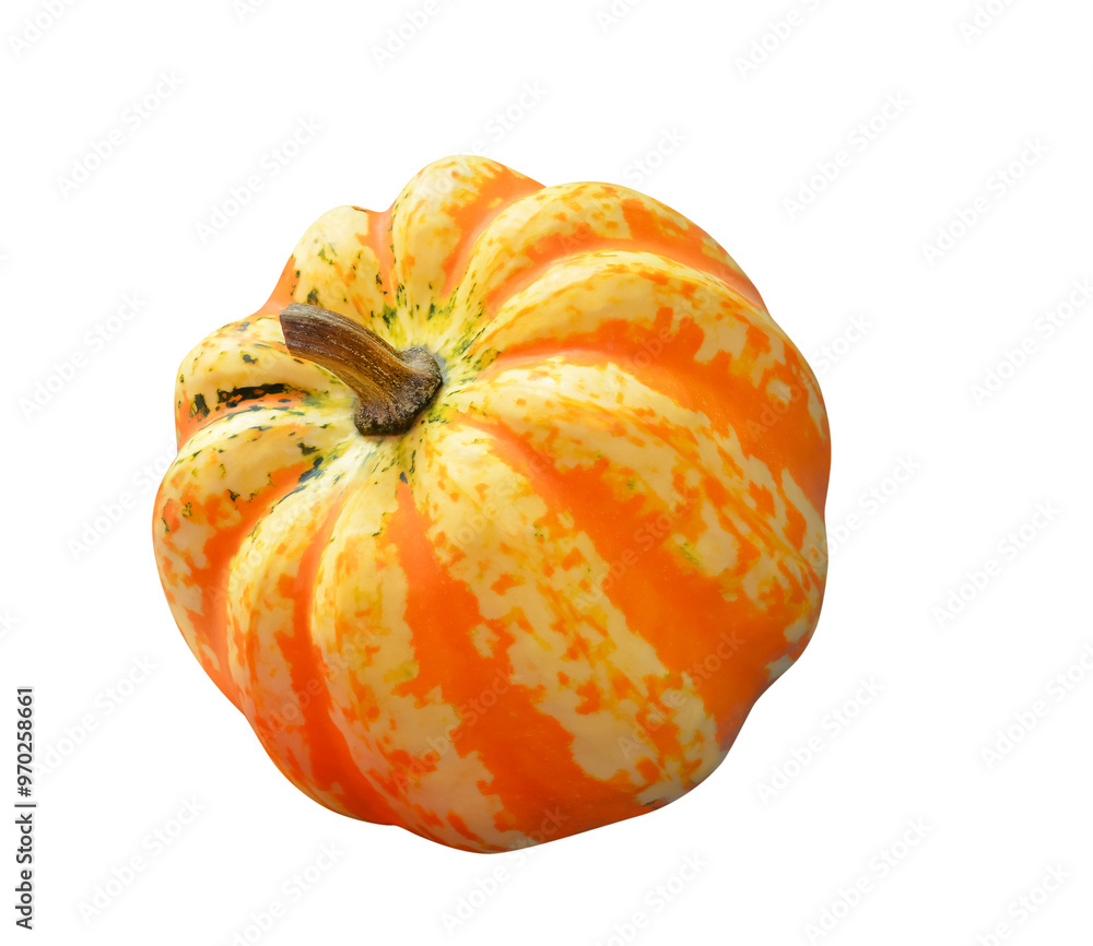 Large orange round pumpkin with stripes Large orange round pumpkin with stripes