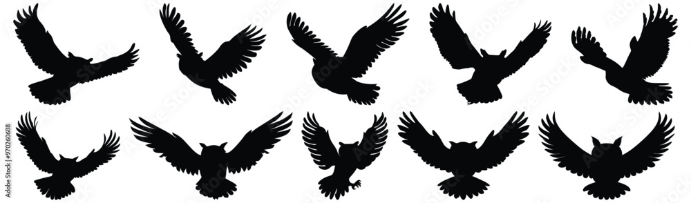 Fototapeta premium Owl silhouette set vector design big pack of flying illustration and icon