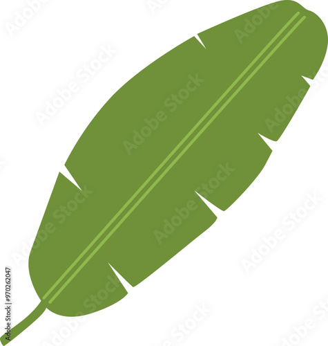 Banana leaf