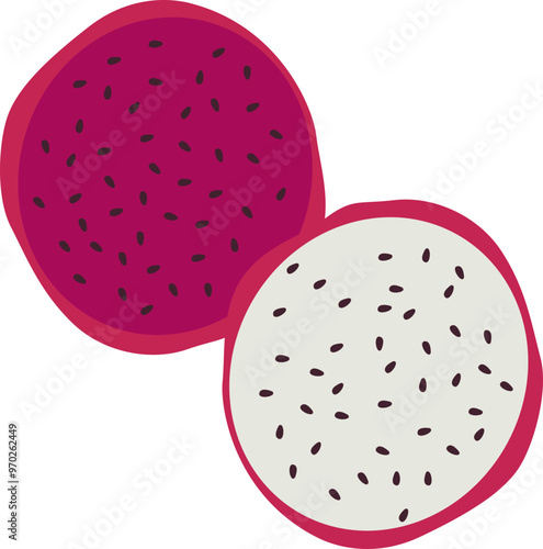 Pitaya Fruits Illustration