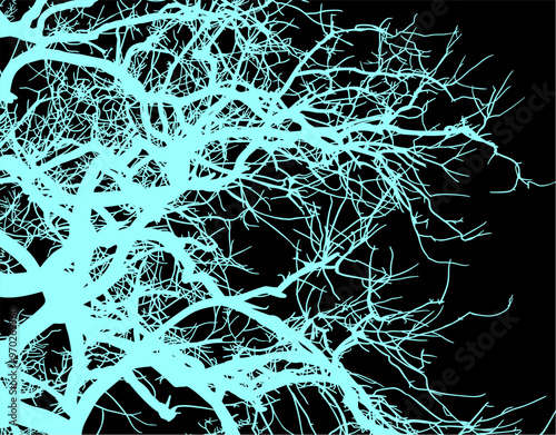 silueta arbol, arbusto, hojas, ramas, otoño, ilustracion, bosques, naturaleza, sequia, atmosfera