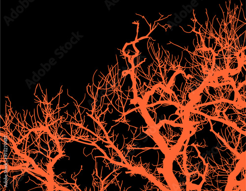 silueta arbol, arbusto, hojas, ramas, otoño, ilustracion, bosques, naturaleza, sequia, atmosfera