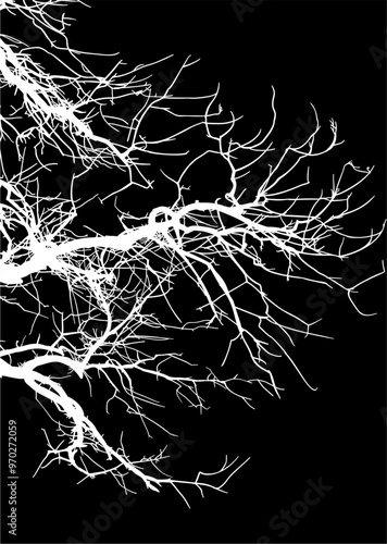 silueta arbol, arbusto, hojas, ramas, otoño, ilustracion, bosques, naturaleza, sequia, atmosfera