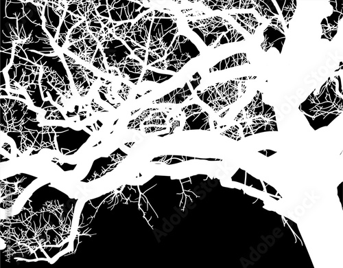 silueta arbol, arbusto, hojas, ramas, otoño, ilustracion, bosques, naturaleza, sequia, atmosfera