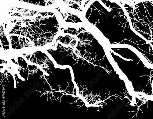 silueta arbol, arbusto, hojas, ramas, otoño, ilustracion, bosques, naturaleza, sequia, atmosfera