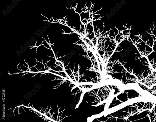silueta arbol, arbusto, hojas, ramas, otoño, ilustracion, bosques, naturaleza, sequia, atmosfera