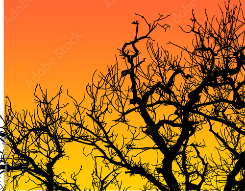 silueta arbol, arbusto, hojas, ramas, otoño, ilustracion, bosques, naturaleza, sequia, atmosfera