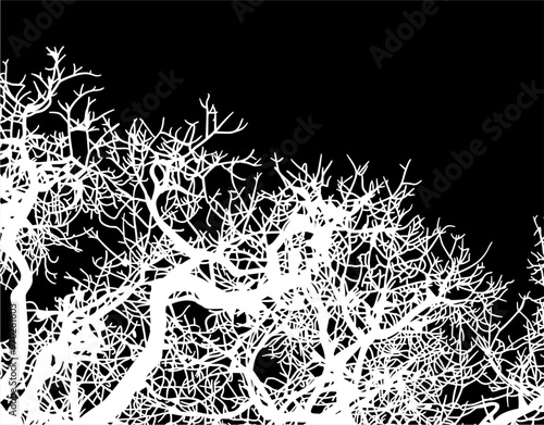silueta arbol, arbusto, hojas, ramas, otoño, ilustracion, bosques, naturaleza, sequia, atmosfera