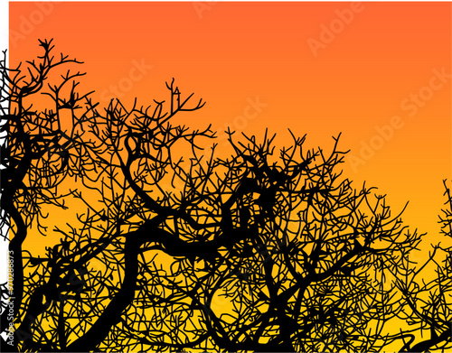 silueta arbol, arbusto, hojas, ramas, otoño, ilustracion, bosques, naturaleza, sequia, atmosfera