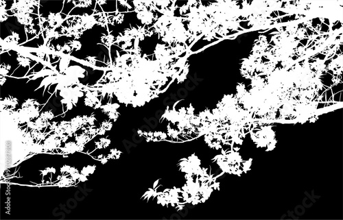 silueta arbol, arbusto, hojas, ramas, otoño, ilustracion, bosques, naturaleza, sequia, atmosfera