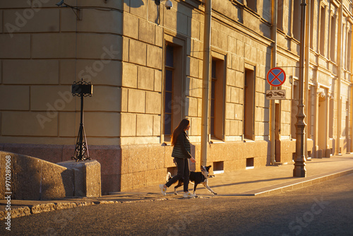 Wallpaper Mural A woman walks her border collie dog on a quiet city street, with early morning light. The scene reflects the calm start to a day in the urban environment. Torontodigital.ca