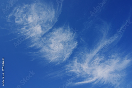 가을하늘 날리는 구름들