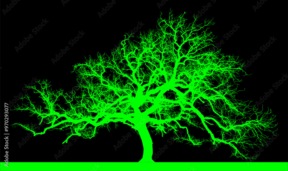 silueta arbol, arbusto, hojas, ramas, otoño, ilustracion, bosques, naturaleza, sequia, atmosfera silueta arbol, arbusto, hojas, ramas, otoño, ilustracion, bosques, naturaleza, sequia, atmosfera
