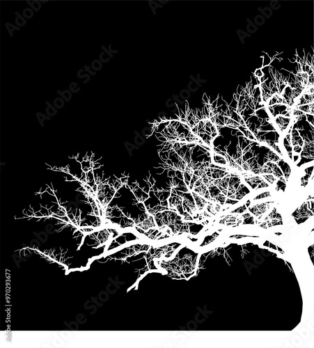 silueta arbol, arbusto, hojas, ramas, otoño, ilustracion, bosques, naturaleza, sequia, atmosfera